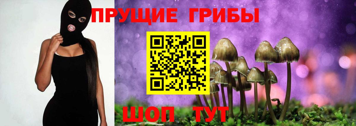 Псилоцибиновые грибы Psilocybe  Псилоцибиновые грибы GOLDEN TEACHER  Вход с VPN  Рязань 